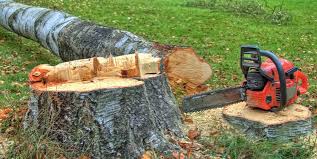 Best Stump Grinding and Removal  in Grapevine, TX